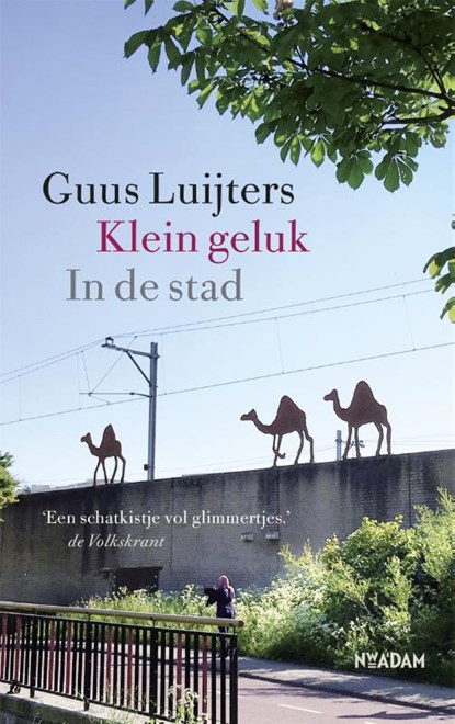 Klein geluk In de stad, Guus Luijters - Gebonden - 9789046824450