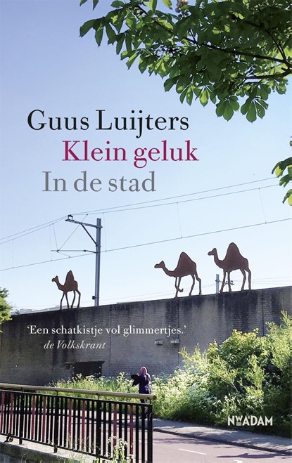 Klein geluk In de stad, Guus Luijters - Ebook - 9789046824467