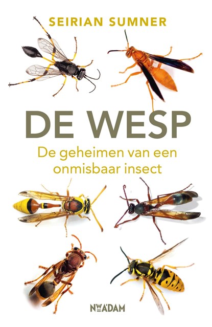 De wesp, Seirian Sumner - Ebook - 9789046826829
