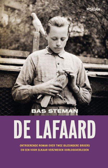 De lafaard, Bas Steman - Gebonden - 9789046828946