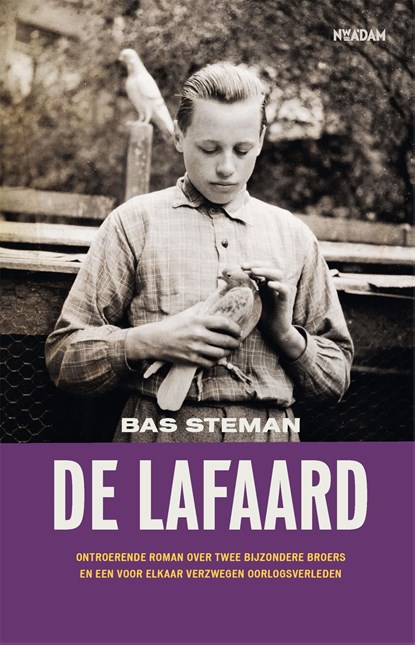 De lafaard, Bas Steman - Ebook - 9789046828953