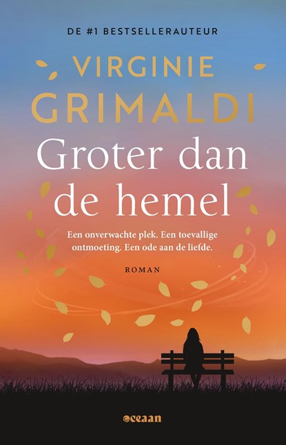 Groter dan de hemel, Virginie Grimaldi - Ebook - 9789046834121