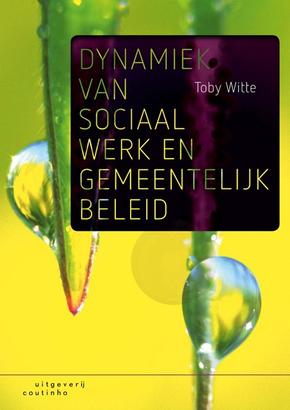 Dynamiek van sociaal werk en gemeentelijk beleid, Toby Witte - Ebook Adobe PDF - 9789046968253
