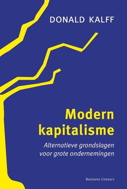 Modern kapitalisme, Donald Kalff - Ebook - 9789047003090
