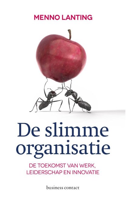 De slimme organisatie, Menno Lanting - Paperback - 9789047005278