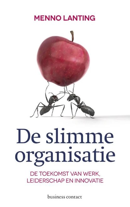 De slimme organisatie, Menno Lanting - Ebook - 9789047006138