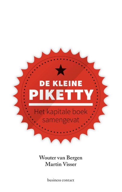 De kleine Piketty, Wouter van Bergen ; Martin Visser - Gebonden - 9789047008057