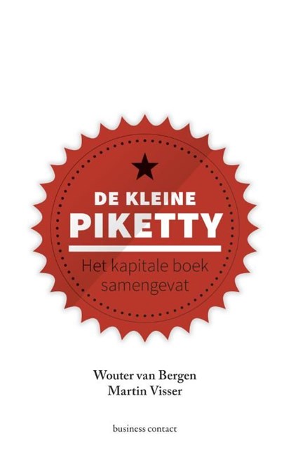 De kleine Piketty, Wouter van Bergen ; Martin Visser - Ebook - 9789047008224