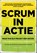 Scrum in actie, Petra de Boer ; Martin Bruggink ; Maarten Bruns ; Nienke van de Hoef ; Gidion Peters ; Mariëlle Roozemond ; Willy Wijnands - Paperback - 9789047008378