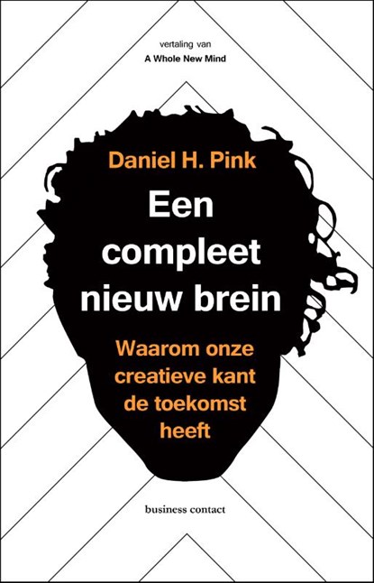 Een compleet nieuw brein, Daniel Pink - Paperback - 9789047008675