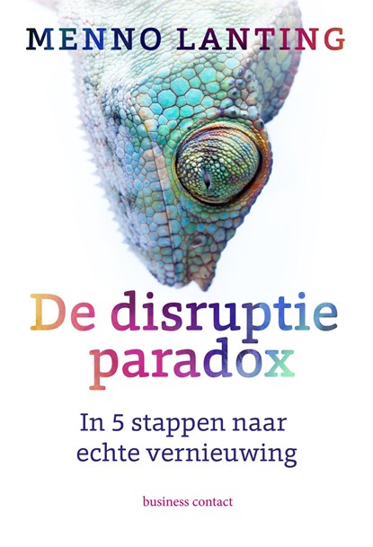 De disruptieparadox, Menno Lanting - Gebonden - 9789047010371