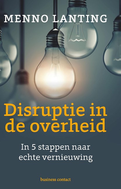 Disruptie in de overheid, Menno Lanting - Ebook - 9789047011835