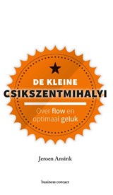 De kleine Csikszentmihalyi - Jeroen Ansink - 9789047011989