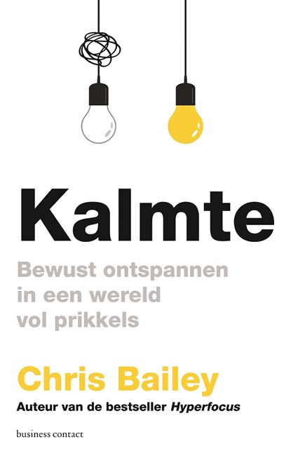 Kalmte, Chris Bailey - Paperback - 9789047017172