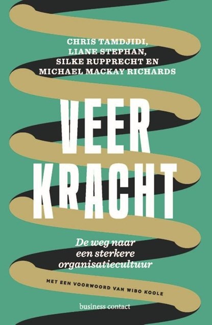 Veerkracht, Chris Tamdjidi ; Liane Stephan ; Silke Rupprecht ; Michael Mackay Richards - Ebook - 9789047018223