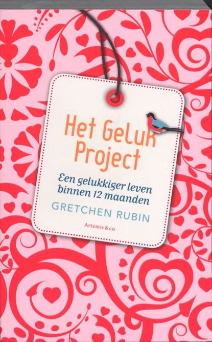 Het Geluk Project, Gretchen Rubin - Ebook - 9789047201601
