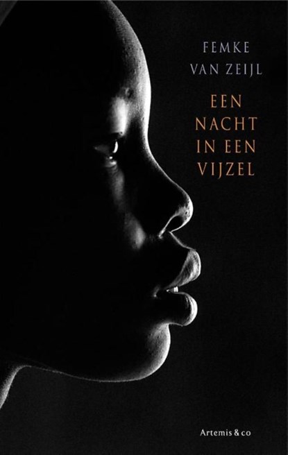 Een nacht in een vijzel, Femke van Zeijl - Ebook - 9789047203452