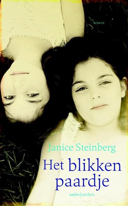 Het blikken paardje, Janice Steinberg - Ebook - 9789047204602
