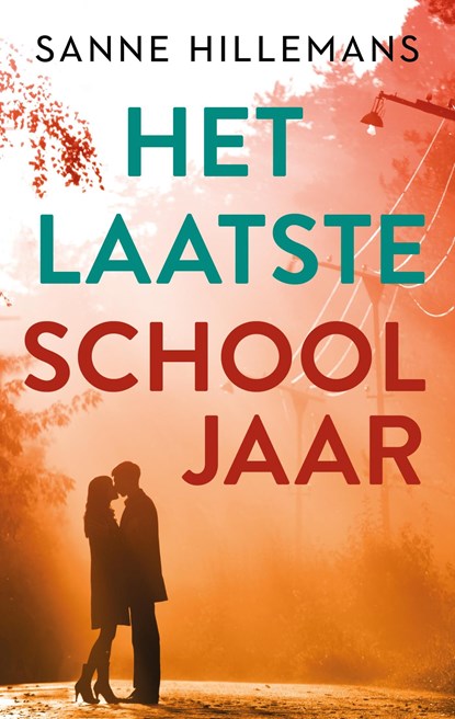 Het laatste schooljaar, Sanne Hillemans - Ebook - 9789047208532