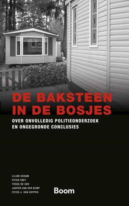 De baksteen in de bosjes, Lilian Oskam ; Peter Smit ; Tessa de Vor ; Jasper van der Kemp ; Peter J. van Koppen - Paperback - 9789047302285