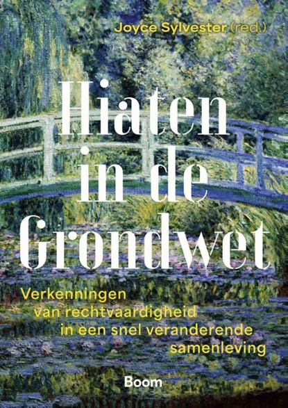 Hiaten in de Grondwet, Joyce Sylvester - Paperback - 9789047302643