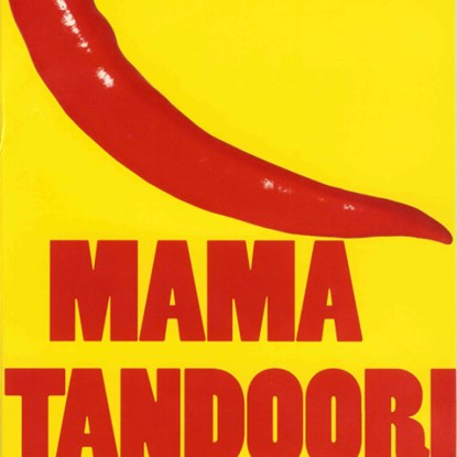 Mama Tandoori, Ernest van der Kwast - Luisterboek MP3 - 9789047613169