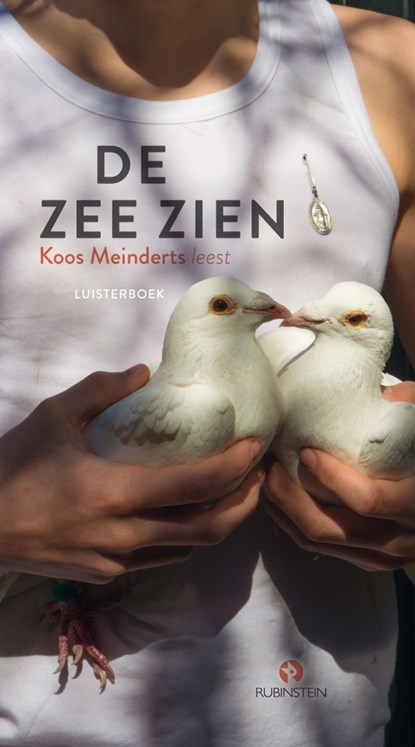 De zee zien, Koos Meinderts - Luisterboek MP3 - 9789047622499