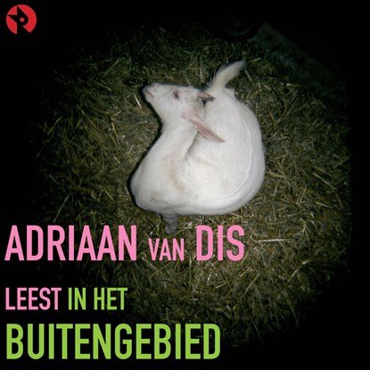 In het buitengebied, Adriaan van Dis - Luisterboek MP3 - 9789047623953