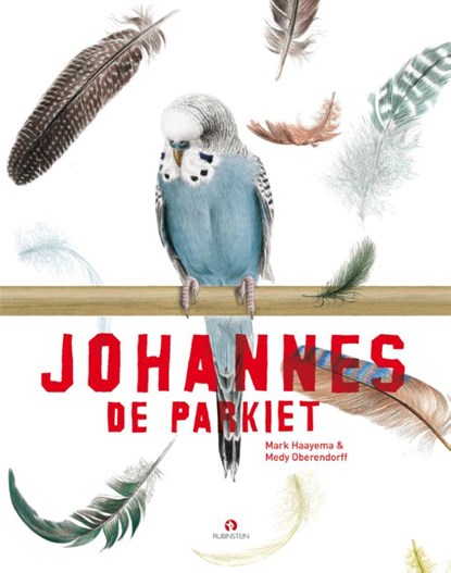 Johannes de parkiet, Mark Haayema ; Medy Oberendorff - Gebonden - 9789047623984