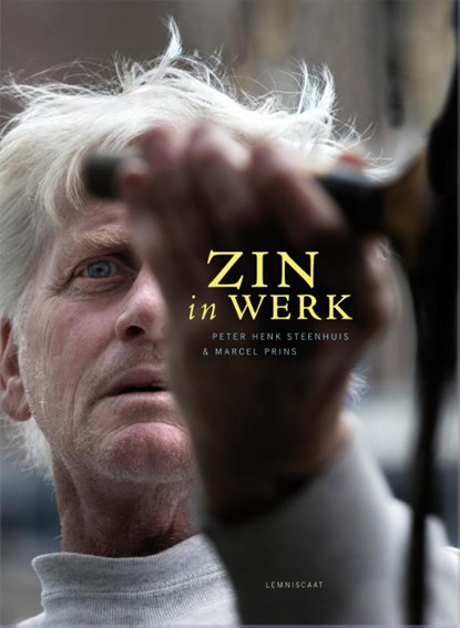 Zin in werk, Peter Henk Steenhuis - Gebonden - 9789047705536