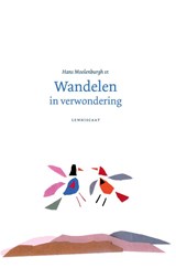 Wandelen in verwondering - Hans Moolenburgh Sr. - 9789047707691