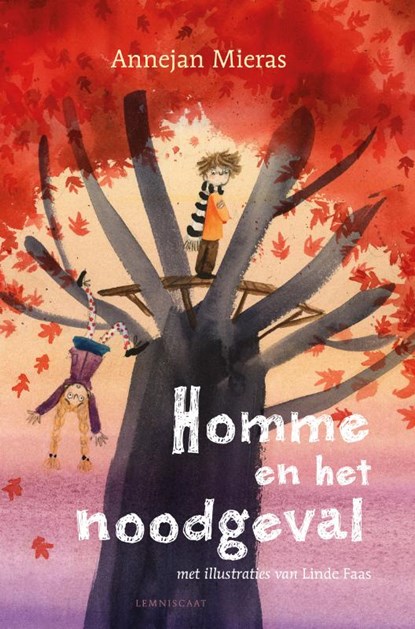 Homme en het noodgeval, Annejan Mieras - Gebonden - 9789047711827