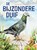De bijzondere duif, Dorien Brouwers - Gebonden - 9789047711988