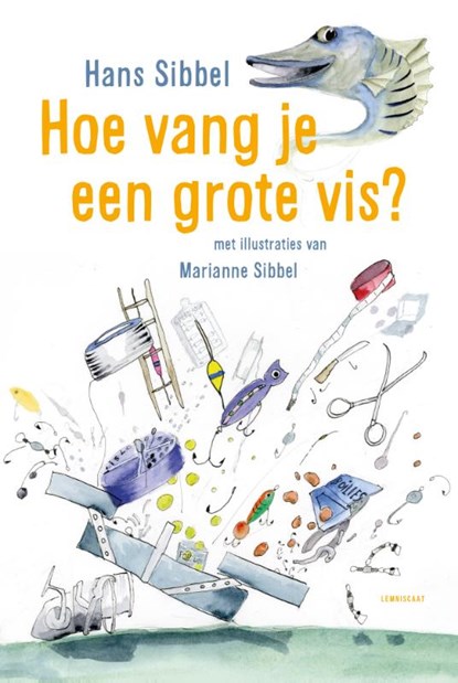 Hoe vang je een grote vis?, Hans Sibbel - Gebonden - 9789047714842