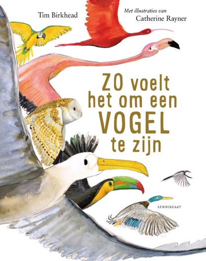 Zo voelt het om een vogel te zijn, Tim Birkhead - Gebonden - 9789047715221