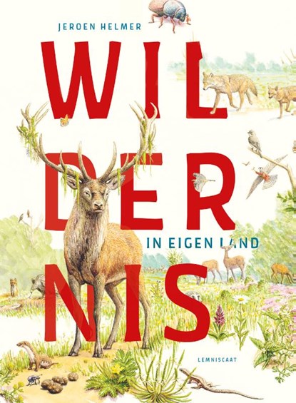 Wildernis in eigen land, Jeroen Helmer - Gebonden - 9789047716877