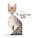 Tangramkat, Maranke Rinck - Gebonden - 9789047719151