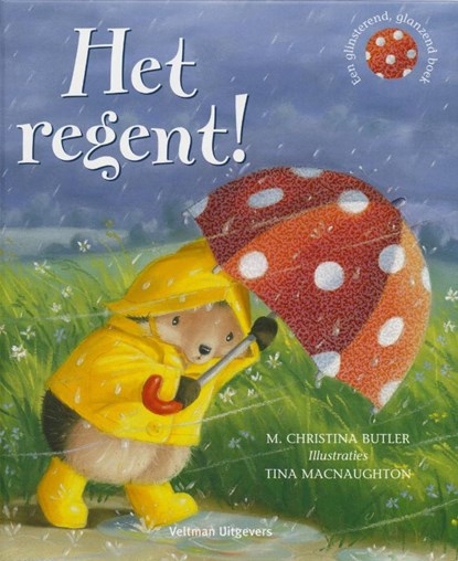 Het regent !, BUTLER, M.C. - Gebonden - 9789048300471