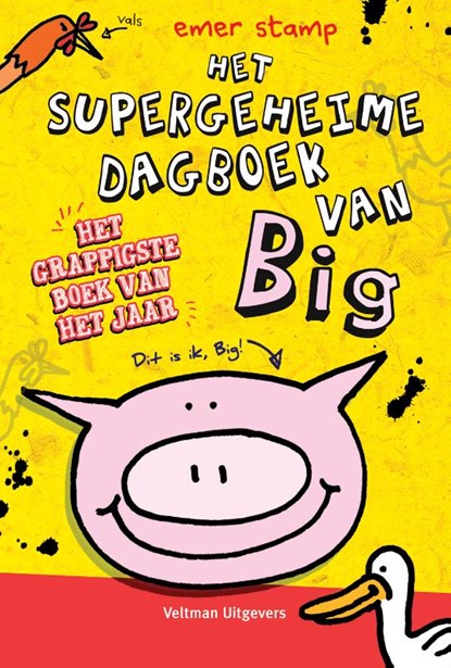 Het supergeheime dagboek van big, Emer Stamp - Gebonden - 9789048310203