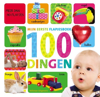 Mijn eerste flapjesboek 100 dingen, niet bekend - Gebonden - 9789048310623