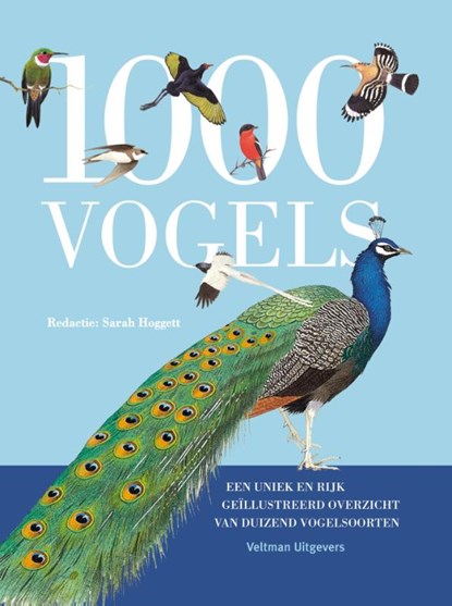 1000 vogels, Sarah Hoggett - Gebonden - 9789048313464