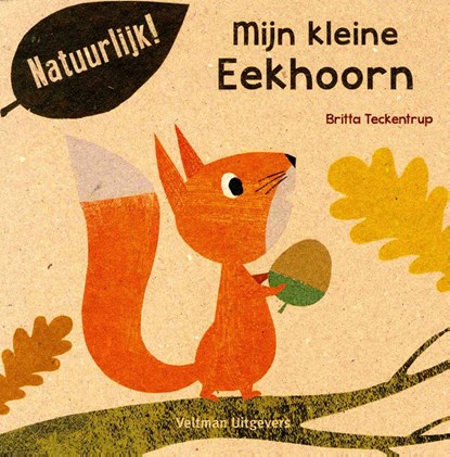 Mijn kleine eekhoorn, Britta Teckentrup - Paperback - 9789048315772