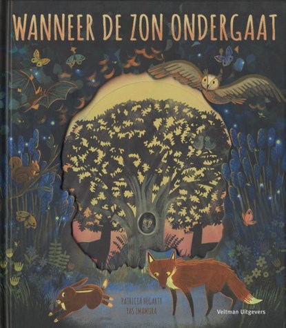 Wanneer de zon ondergaat, Patricia Hegarty - Gebonden - 9789048318902