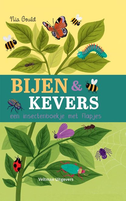 Bijen & kevers, een insectenboekje met flapjes, Molly Littleboy - Gebonden - 9789048320882