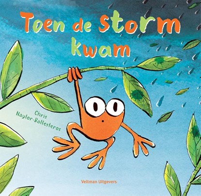 Toen de storm kwam, Chris Naylor-Ballesteros - Gebonden - 9789048321278