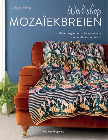 Workshop mozaïekbreien, Ashleigh Wempe - Paperback - 9789048321629