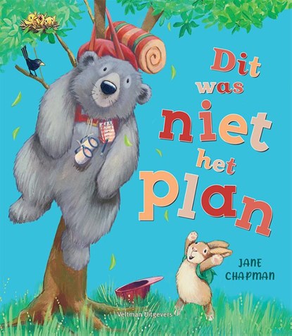 Dit was niet het plan, Jane Chapman - Gebonden - 9789048322909