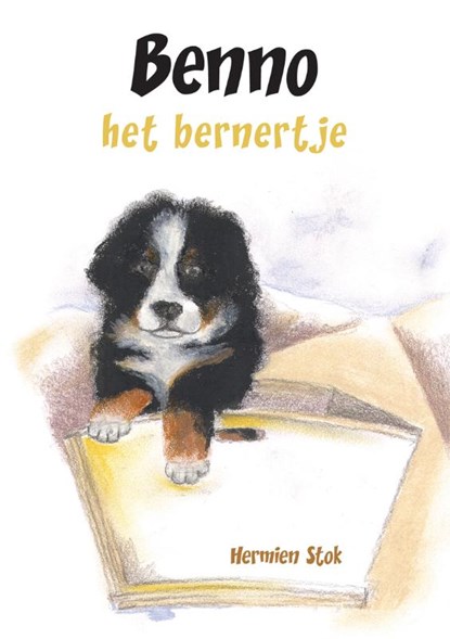 Benno, het bernertje, STOK, H. - Paperback - 9789048405862