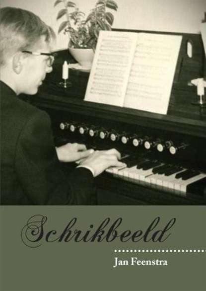 Schrikbeeld, FEENSTRA, J. - Paperback - 9789048406333