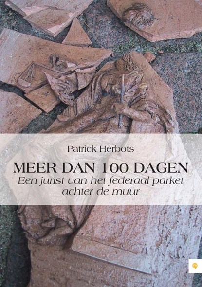 Meer dan 100 dagen, Patrick Herbots - Paperback - 9789048417124